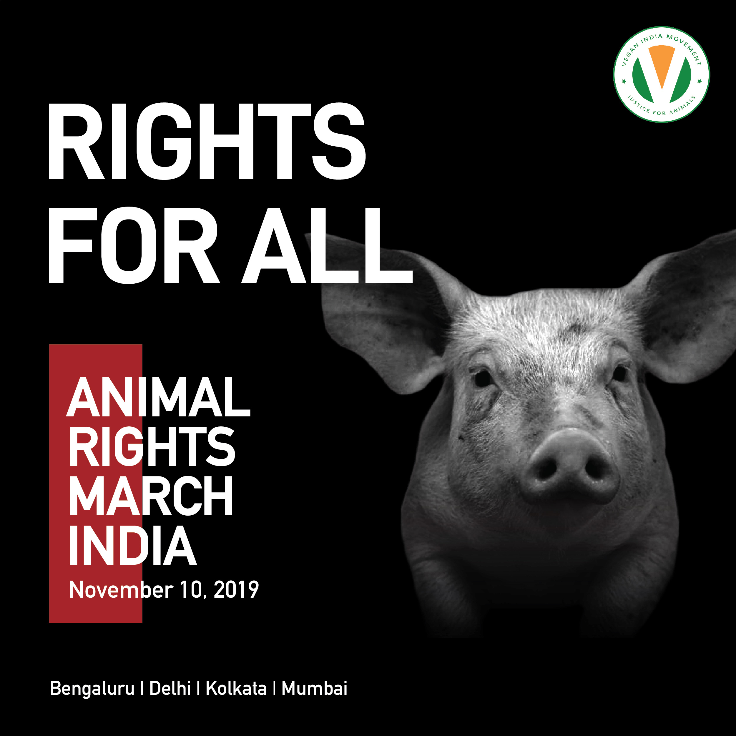 Justice for Animals