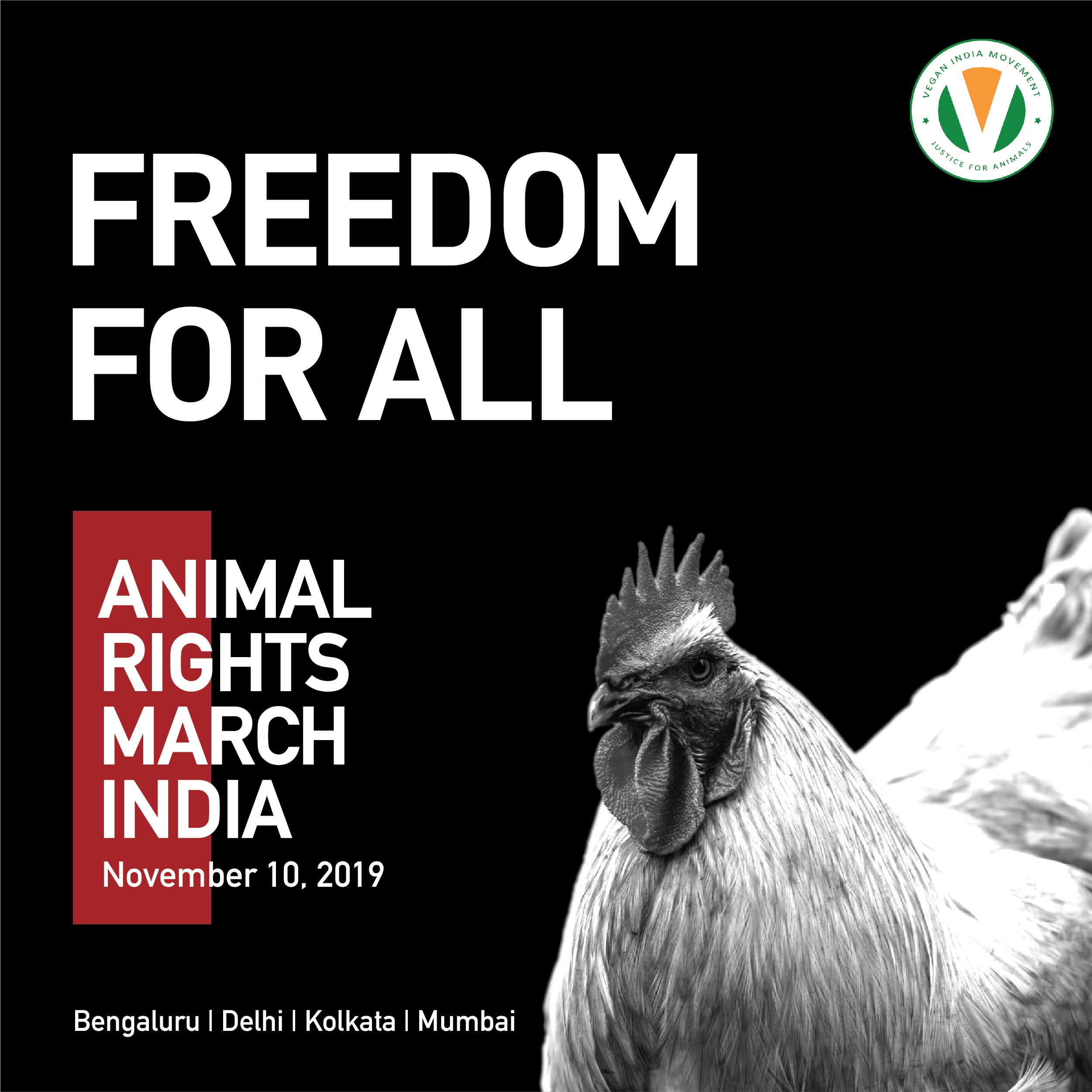 Justice for Animals