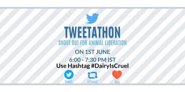 DairyIsCruel tweetathon
